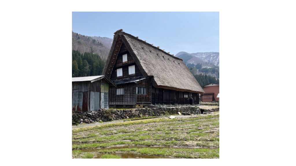 白川郷　茅葺屋根