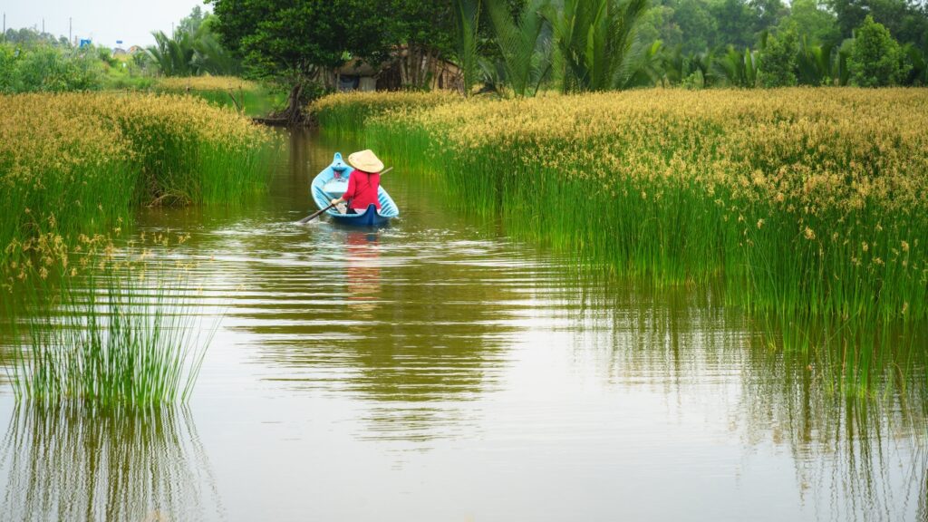 メコンデルタ地域