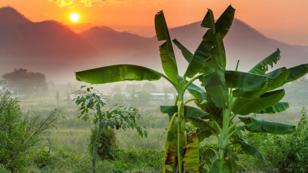 タイ北部の田舎の風景