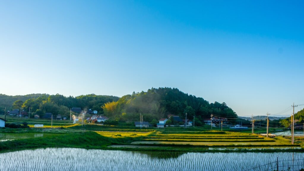 日本の田舎の風景　田んぼ