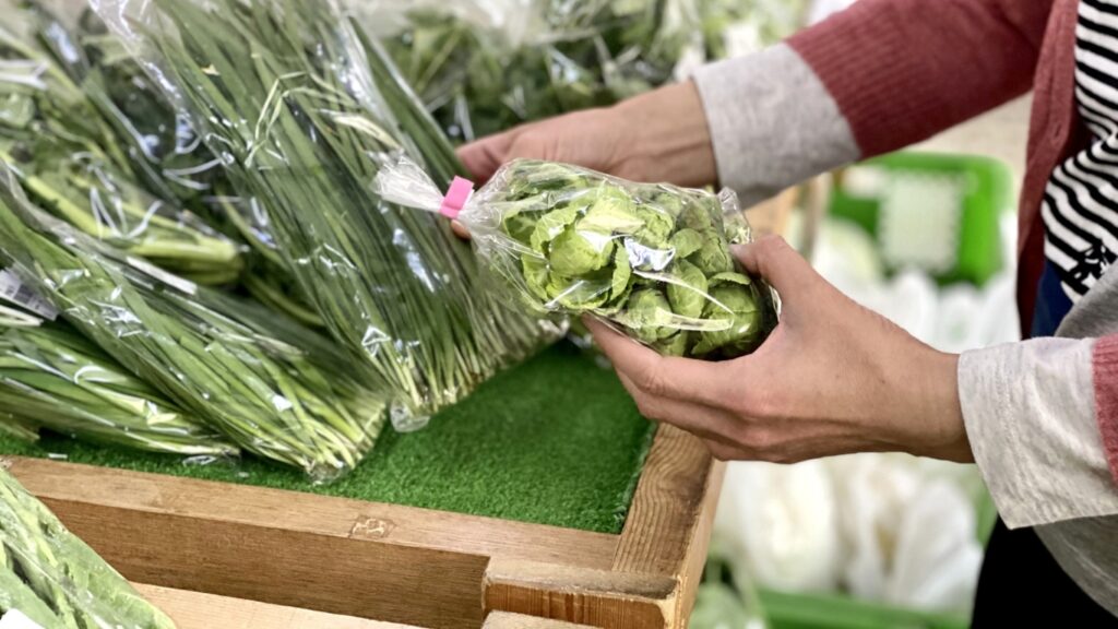 野菜を手に取る主婦